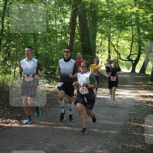 22.09.2024 - 32. Volkslauf durch das schöne Alstertal Miley Keyser http://msf.ph/oto/7136061 22.09.2024 10:42:45 Laufen 2129, 2128, 2479 meine-sportfotos.de