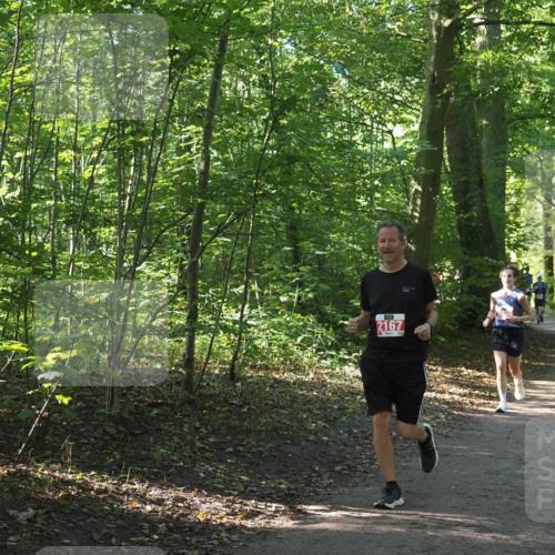 22.09.2024 - 32. Volkslauf durch das schöne Alstertal Miley Keyser http://msf.ph/oto/7136110 22.09.2024 10:42:28 Laufen 2167 meine-sportfotos.de
