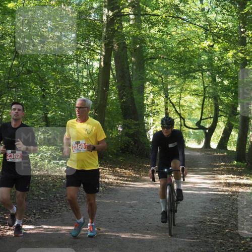 22.09.2024 - 32. Volkslauf durch das schöne Alstertal Miley Keyser http://msf.ph/oto/7136280 22.09.2024 10:41:13 Laufen 2362, 2360 meine-sportfotos.de
