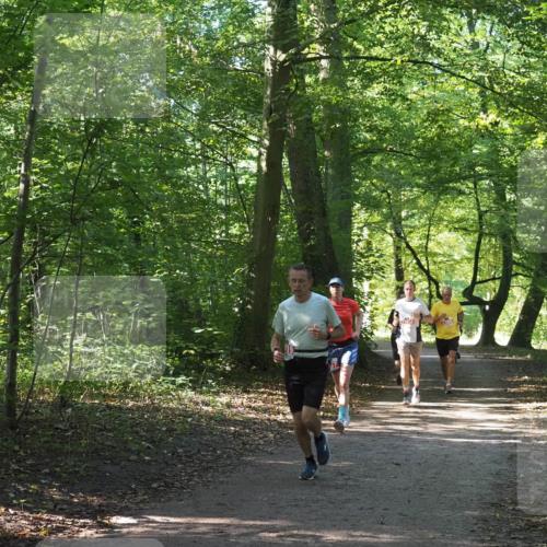 22.09.2024 - 32. Volkslauf durch das schöne Alstertal Miley Keyser http://msf.ph/oto/7136297 22.09.2024 10:41:08 Laufen 2360 meine-sportfotos.de