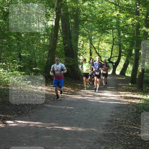 22.09.2024 - 32. Volkslauf durch das schöne Alstertal Miley Keyser http://msf.ph/oto/7136360 22.09.2024 10:40:34 Laufen 464 meine-sportfotos.de