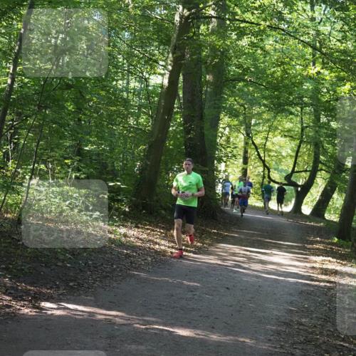 22.09.2024 - 32. Volkslauf durch das schöne Alstertal Miley Keyser http://msf.ph/oto/7136364 22.09.2024 10:40:27 Laufen  meine-sportfotos.de