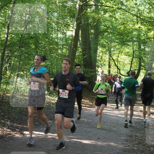 22.09.2024 - 32. Volkslauf durch das schöne Alstertal Miley Keyser http://msf.ph/oto/7136397 22.09.2024 10:40:14 Laufen 2318, 2354, 2243, 1561 meine-sportfotos.de
