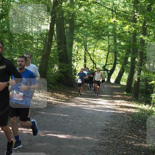 22.09.2024 - 32. Volkslauf durch das schöne Alstertal Miley Keyser http://msf.ph/oto/7136405 22.09.2024 10:40:08 Laufen 2958, 2397 meine-sportfotos.de
