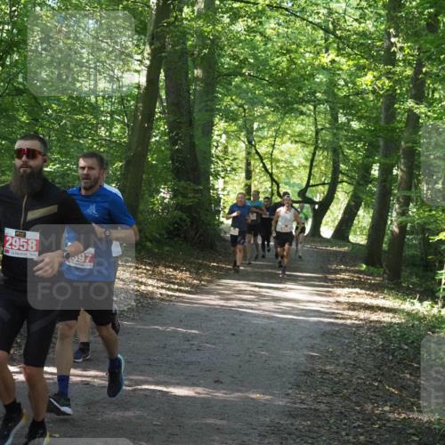 22.09.2024 - 32. Volkslauf durch das schöne Alstertal Miley Keyser http://msf.ph/oto/7136409 22.09.2024 10:40:08 Laufen 2958, 97 meine-sportfotos.de