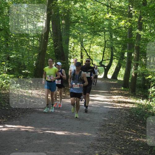 22.09.2024 - 32. Volkslauf durch das schöne Alstertal Miley Keyser http://msf.ph/oto/7136416 22.09.2024 10:40:05 Laufen 2956, 2279, 2964, 958 meine-sportfotos.de