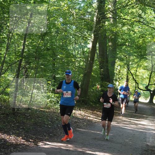 22.09.2024 - 32. Volkslauf durch das schöne Alstertal Miley Keyser http://msf.ph/oto/7136529 22.09.2024 10:39:06 Laufen 2333, 2505 meine-sportfotos.de