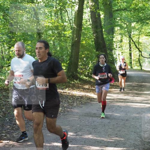 22.09.2024 - 32. Volkslauf durch das schöne Alstertal Miley Keyser http://msf.ph/oto/7136711 22.09.2024 10:26:36 Laufen 1662, 1041 meine-sportfotos.de