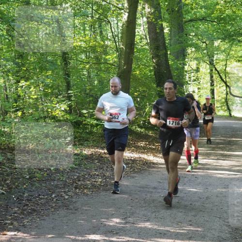 22.09.2024 - 32. Volkslauf durch das schöne Alstertal Miley Keyser http://msf.ph/oto/7136713 22.09.2024 10:26:35 Laufen 662, 1716, 1051 meine-sportfotos.de