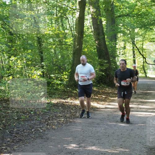 22.09.2024 - 32. Volkslauf durch das schöne Alstertal Miley Keyser http://msf.ph/oto/7136715 22.09.2024 10:26:34 Laufen 1716 meine-sportfotos.de