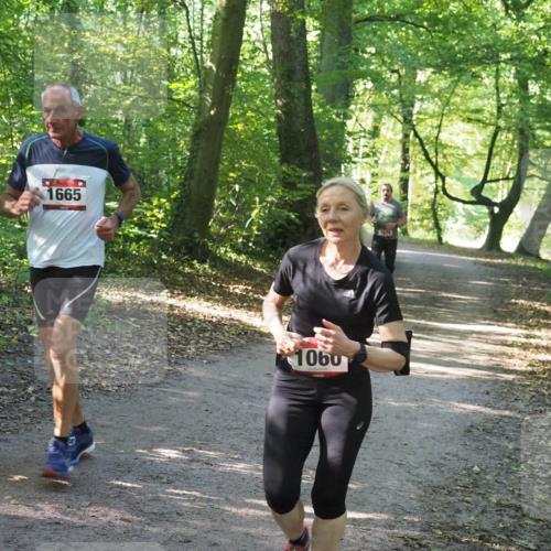 22.09.2024 - 32. Volkslauf durch das schöne Alstertal Miley Keyser http://msf.ph/oto/7136738 22.09.2024 10:26:08 Laufen 1665, 1060, 1679 meine-sportfotos.de