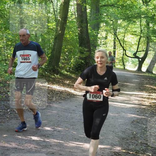 22.09.2024 - 32. Volkslauf durch das schöne Alstertal Miley Keyser http://msf.ph/oto/7136739 22.09.2024 10:26:07 Laufen 1665, 1060, 1679 meine-sportfotos.de