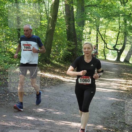 22.09.2024 - 32. Volkslauf durch das schöne Alstertal Miley Keyser http://msf.ph/oto/7136741 22.09.2024 10:26:07 Laufen 1665, 1060 meine-sportfotos.de