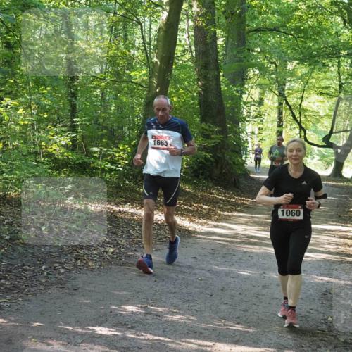 22.09.2024 - 32. Volkslauf durch das schöne Alstertal Miley Keyser http://msf.ph/oto/7136742 22.09.2024 10:26:07 Laufen 1665, 1679, 1060 meine-sportfotos.de