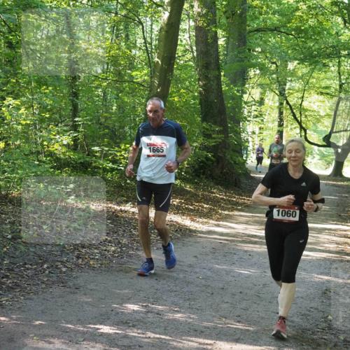 22.09.2024 - 32. Volkslauf durch das schöne Alstertal Miley Keyser http://msf.ph/oto/7136743 22.09.2024 10:26:07 Laufen 1665, 1579, 1060 meine-sportfotos.de