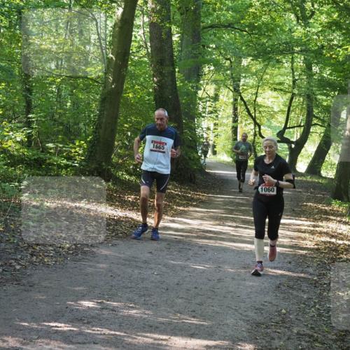 22.09.2024 - 32. Volkslauf durch das schöne Alstertal Miley Keyser http://msf.ph/oto/7136744 22.09.2024 10:26:06 Laufen 1665, 1679, 1060 meine-sportfotos.de