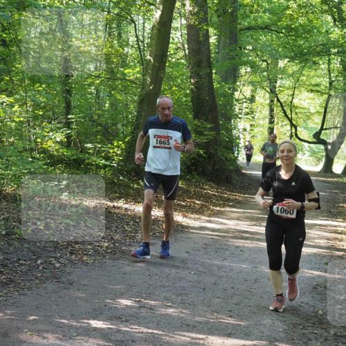 22.09.2024 - 32. Volkslauf durch das schöne Alstertal Miley Keyser http://msf.ph/oto/7136745 22.09.2024 10:26:06 Laufen 1665, 1679, 1060 meine-sportfotos.de