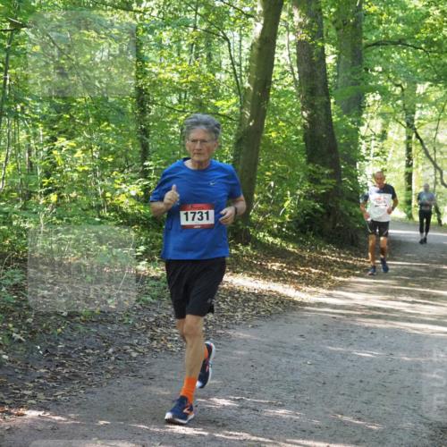 22.09.2024 - 32. Volkslauf durch das schöne Alstertal Miley Keyser http://msf.ph/oto/7136749 22.09.2024 10:26:03 Laufen 1731, 1665, 1060 meine-sportfotos.de