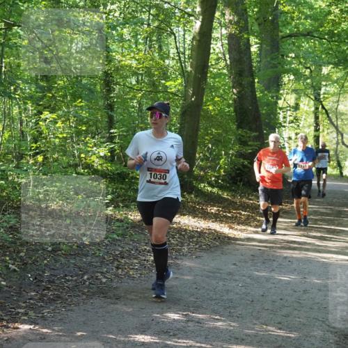 22.09.2024 - 32. Volkslauf durch das schöne Alstertal Miley Keyser http://msf.ph/oto/7136757 22.09.2024 10:25:59 Laufen 1030, 16, 1731 meine-sportfotos.de