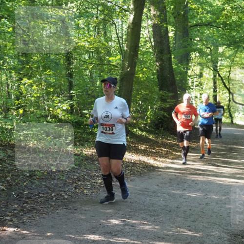 22.09.2024 - 32. Volkslauf durch das schöne Alstertal Miley Keyser http://msf.ph/oto/7136758 22.09.2024 10:25:59 Laufen 1659, 1030 meine-sportfotos.de