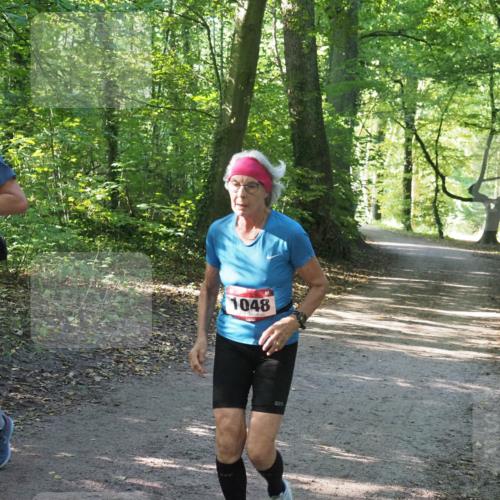22.09.2024 - 32. Volkslauf durch das schöne Alstertal Miley Keyser http://msf.ph/oto/7136793 22.09.2024 10:25:30 Laufen 645, 1048 meine-sportfotos.de
