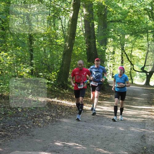 22.09.2024 - 32. Volkslauf durch das schöne Alstertal Miley Keyser http://msf.ph/oto/7136800 22.09.2024 10:25:28 Laufen 2022, 1663, 1645, 10 meine-sportfotos.de