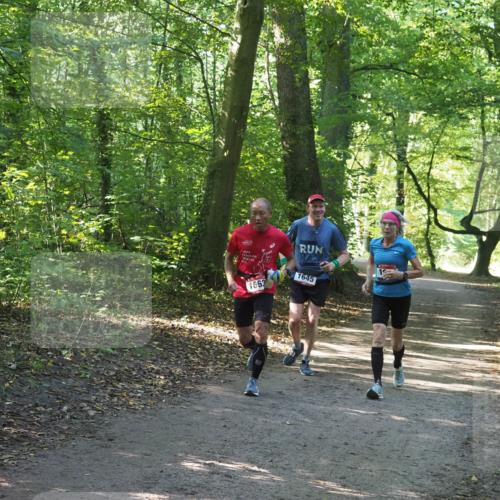 22.09.2024 - 32. Volkslauf durch das schöne Alstertal Miley Keyser http://msf.ph/oto/7136801 22.09.2024 10:25:28 Laufen 1663, 1645 meine-sportfotos.de