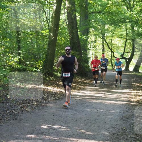 22.09.2024 - 32. Volkslauf durch das schöne Alstertal Miley Keyser http://msf.ph/oto/7136806 22.09.2024 10:25:25 Laufen 1657, 1645 meine-sportfotos.de
