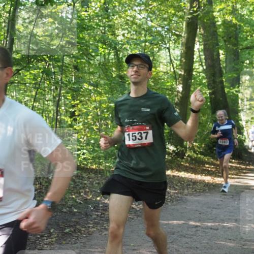 22.09.2024 - 32. Volkslauf durch das schöne Alstertal Miley Keyser http://msf.ph/oto/7137301 22.09.2024 10:21:40 Laufen 1637, 1537, 1593 meine-sportfotos.de