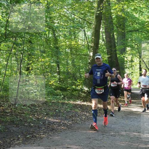 22.09.2024 - 32. Volkslauf durch das schöne Alstertal Miley Keyser http://msf.ph/oto/7137398 22.09.2024 10:20:57 Laufen 1005, 1011, 1558, 1584, 1549 meine-sportfotos.de