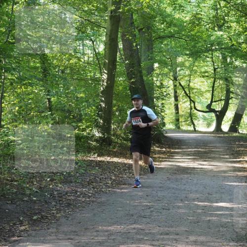 22.09.2024 - 32. Volkslauf durch das schöne Alstertal Miley Keyser http://msf.ph/oto/7137560 22.09.2024 10:19:24 Laufen 1524 meine-sportfotos.de