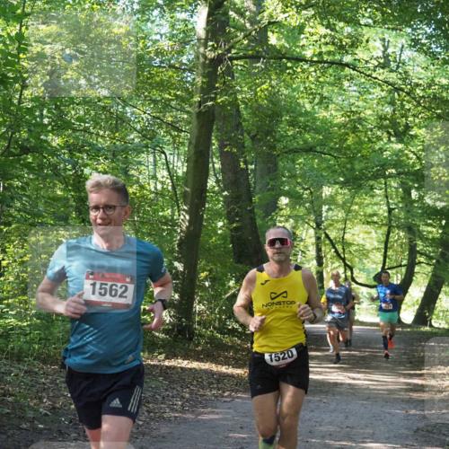 22.09.2024 - 32. Volkslauf durch das schöne Alstertal Miley Keyser http://msf.ph/oto/7137644 22.09.2024 10:18:33 Laufen 1562, 1520 meine-sportfotos.de