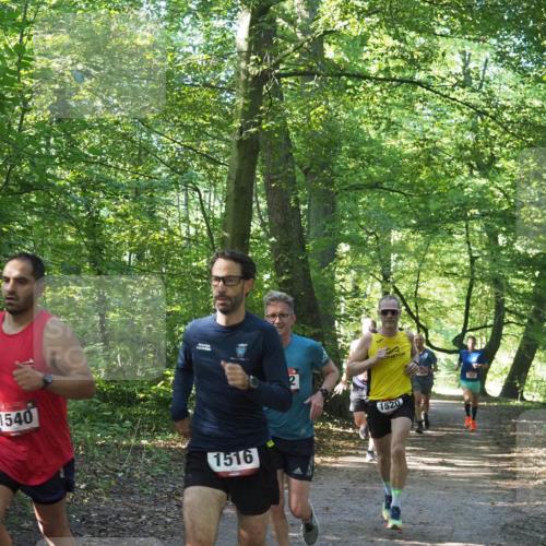 22.09.2024 - 32. Volkslauf durch das schöne Alstertal Miley Keyser http://msf.ph/oto/7137649 22.09.2024 10:18:32 Laufen 1540, 1516, 12, 1520, 1631 meine-sportfotos.de