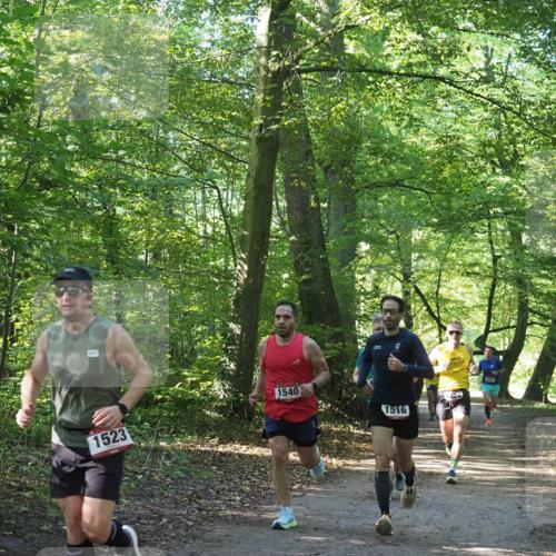 22.09.2024 - 32. Volkslauf durch das schöne Alstertal Miley Keyser http://msf.ph/oto/7137652 22.09.2024 10:18:31 Laufen 1540, 1523, 1516, 22 meine-sportfotos.de