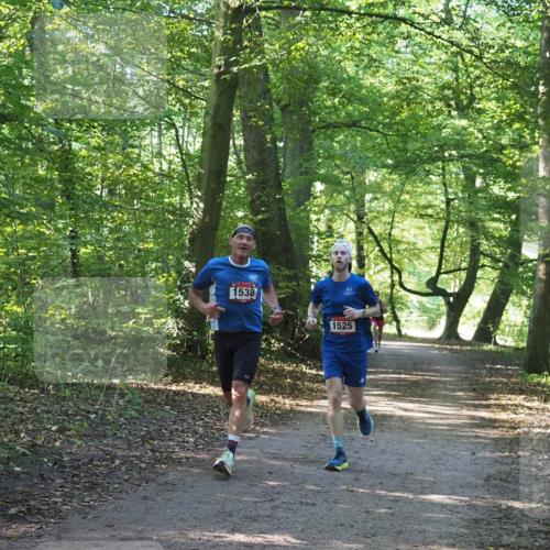 22.09.2024 - 32. Volkslauf durch das schöne Alstertal Miley Keyser http://msf.ph/oto/7137682 22.09.2024 10:18:14 Laufen 1538, 1525 meine-sportfotos.de