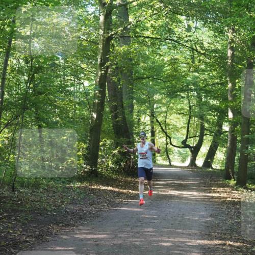 22.09.2024 - 32. Volkslauf durch das schöne Alstertal Miley Keyser http://msf.ph/oto/7137768 22.09.2024 10:15:58 Laufen 1508 meine-sportfotos.de