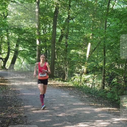 22.09.2024 - 32. Volkslauf durch das schöne Alstertal Miley Keyser http://msf.ph/oto/7137772 22.09.2024 10:15:39 Laufen 1001 meine-sportfotos.de
