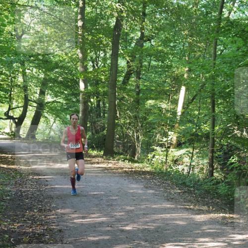 22.09.2024 - 32. Volkslauf durch das schöne Alstertal Miley Keyser http://msf.ph/oto/7137773 22.09.2024 10:15:38 Laufen 1001 meine-sportfotos.de
