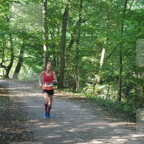22.09.2024 - 32. Volkslauf durch das schöne Alstertal Miley Keyser http://msf.ph/oto/7137774 22.09.2024 10:15:39 Laufen 1001 meine-sportfotos.de