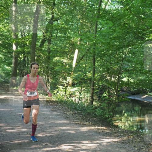 22.09.2024 - 32. Volkslauf durch das schöne Alstertal Miley Keyser http://msf.ph/oto/7137776 22.09.2024 10:15:39 Laufen 1001 meine-sportfotos.de