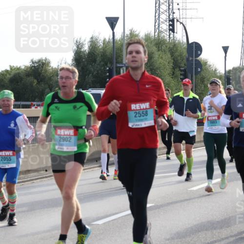 03.10.2024 - Köhlbrandbrückenlauf Luisa Fischer http://msf.ph/oto/7145989 03.10.2024 09:16:21 Position 3 2558, 2233, 1683, 1593, 2902, 2055 meine-sportfotos.de
