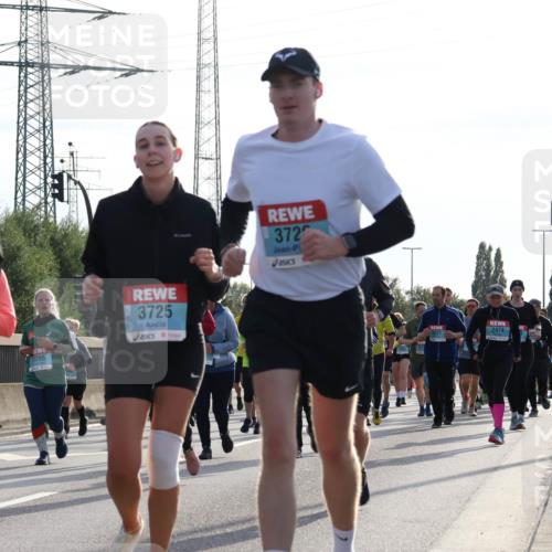 03.10.2024 - Köhlbrandbrückenlauf Luisa Fischer http://msf.ph/oto/7146923 03.10.2024 09:22:29 Position 3 8303, 3725, 372, 3295, 2474 meine-sportfotos.de