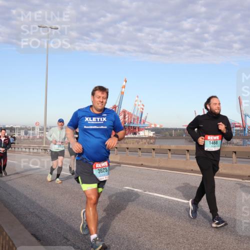 03.10.2024 - Köhlbrandbrückenlauf Matties Gatica Varas http://msf.ph/oto/7147027 03.10.2024 09:42:48 Position 2 4, 3628, 1468, 1819 meine-sportfotos.de