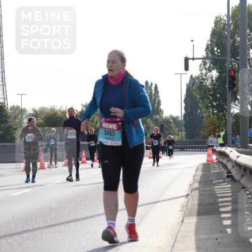 03.10.2024 - Köhlbrandbrückenlauf Luisa Fischer http://msf.ph/oto/7147147 03.10.2024 09:24:12 Position 3 3025, 2351, 3403 meine-sportfotos.de