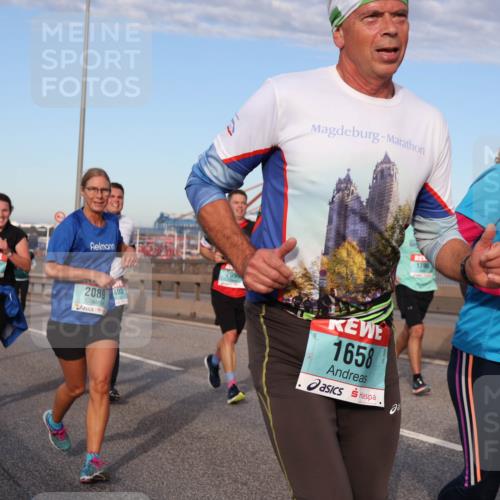 03.10.2024 - Köhlbrandbrückenlauf Matties Gatica Varas http://msf.ph/oto/7148259 03.10.2024 09:44:46 Position 2 2967, 1790, 1876, 2089, 403, 1658 meine-sportfotos.de