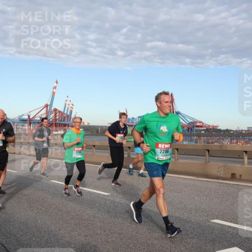 03.10.2024 - Köhlbrandbrückenlauf Matties Gatica Varas http://msf.ph/oto/7148385 03.10.2024 09:44:58 Position 2 3575, 2285, 23, 2286 meine-sportfotos.de