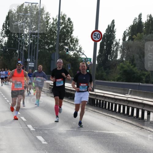 03.10.2024 - Köhlbrandbrückenlauf Miley Keyser http://msf.ph/oto/7155599 03.10.2024 09:11:03 Position 3 1004, 1, 1313, 1032, 1043, 50 meine-sportfotos.de