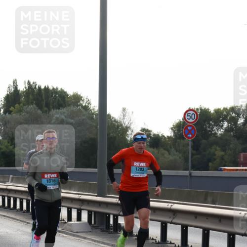03.10.2024 - Köhlbrandbrückenlauf Miley Keyser http://msf.ph/oto/7155797 03.10.2024 09:12:03 Position 3 1016, 1203, 50 meine-sportfotos.de