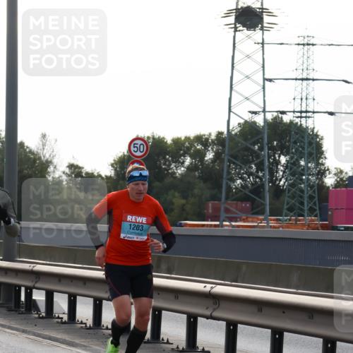 03.10.2024 - Köhlbrandbrückenlauf Miley Keyser http://msf.ph/oto/7155800 03.10.2024 09:12:04 Position 3 50, 50, 1203 meine-sportfotos.de