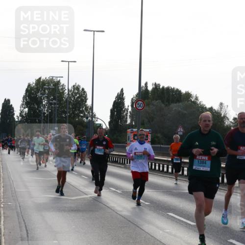 03.10.2024 - Köhlbrandbrückenlauf Miley Keyser http://msf.ph/oto/7156094 03.10.2024 09:13:13 Position 3 1461, 50, 1439, 1384 meine-sportfotos.de